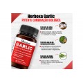 Herboxa Garlic | Suplemento para o coração Herboxa Garlic | Suplemento para o coração