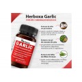 Herboxa Garlic | Suplemento para o coração Herboxa Garlic | Suplemento para o coração